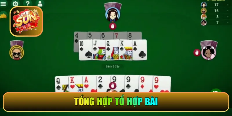 Tổng hợp tổ hợp bài