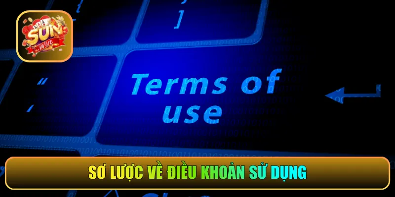 Sơ lược về điều khoản sử dụng